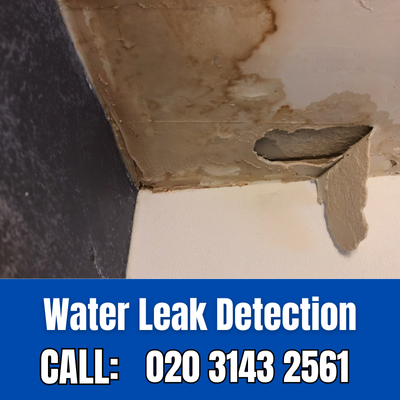 Expert Water Leak Detection Services in Twickenham | Twickenham Leak Detection